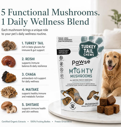 Pawse Mighty Mushroom Chews Food Supplement for Dogs & Cats | Blend of Turkey Tail, Reishi, Chaga, Maitake & Shiitake | for Immune System, Lumps & Bumps, Gut Health & Skin Support | 60 Chews