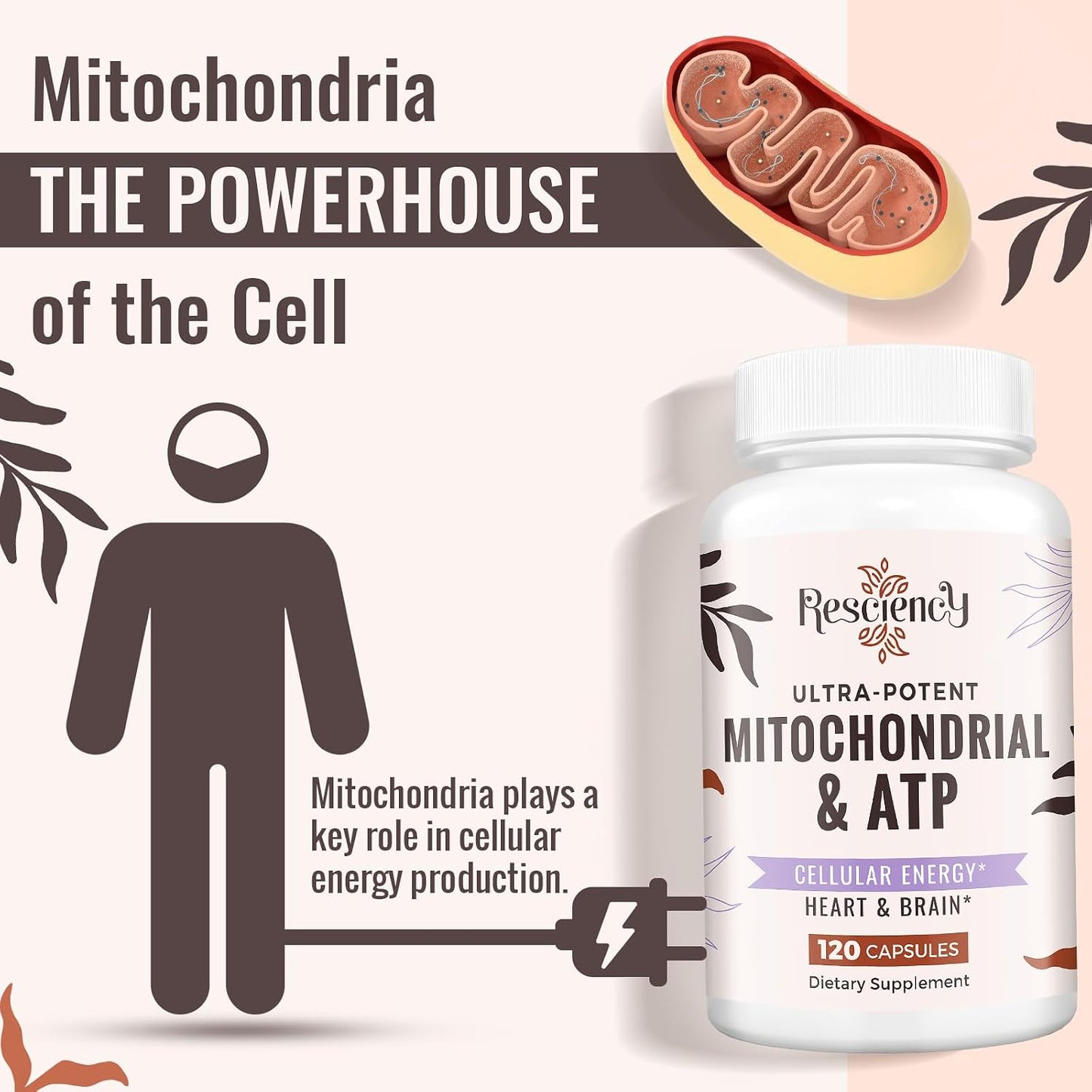 Resciency 2326 mg Mitochondrial Supplement with ATP, CoQ10, PQQ, and Organic Ingredients - 120 Capsules - görsel 8
