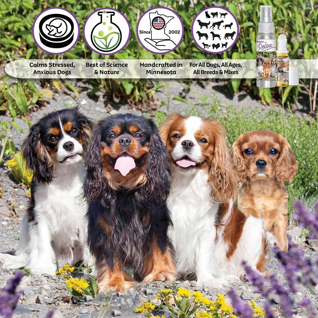 The Blissful Dog Cavalier King Charles Spaniel Relax Dog Aromatherapy Spray for Your Dog's Anxiety - görsel 2