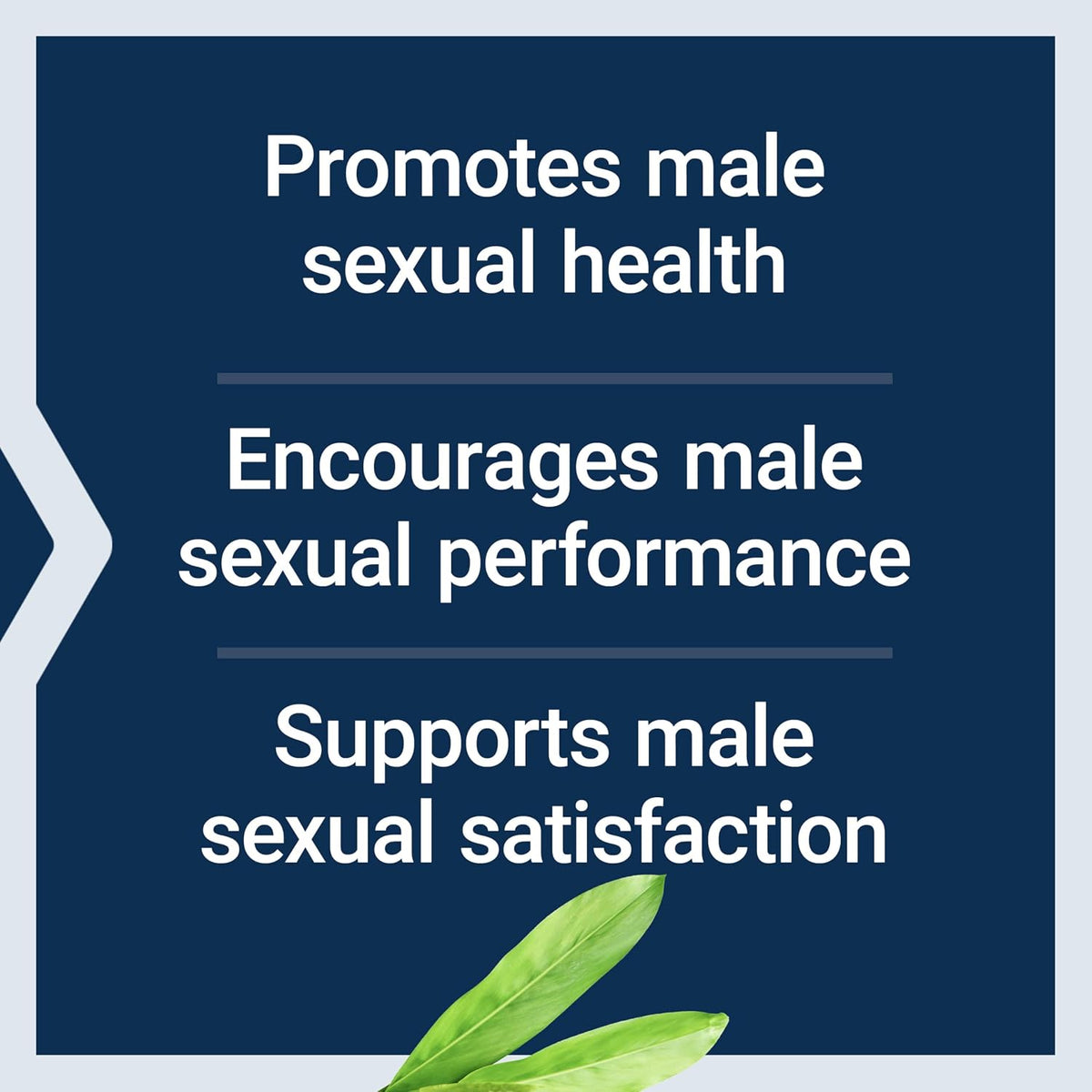 Life Extension Male Vascular Sexual Support – Black Ginger (Kaempferia parviflora) – 30 Capsules - görsel 4