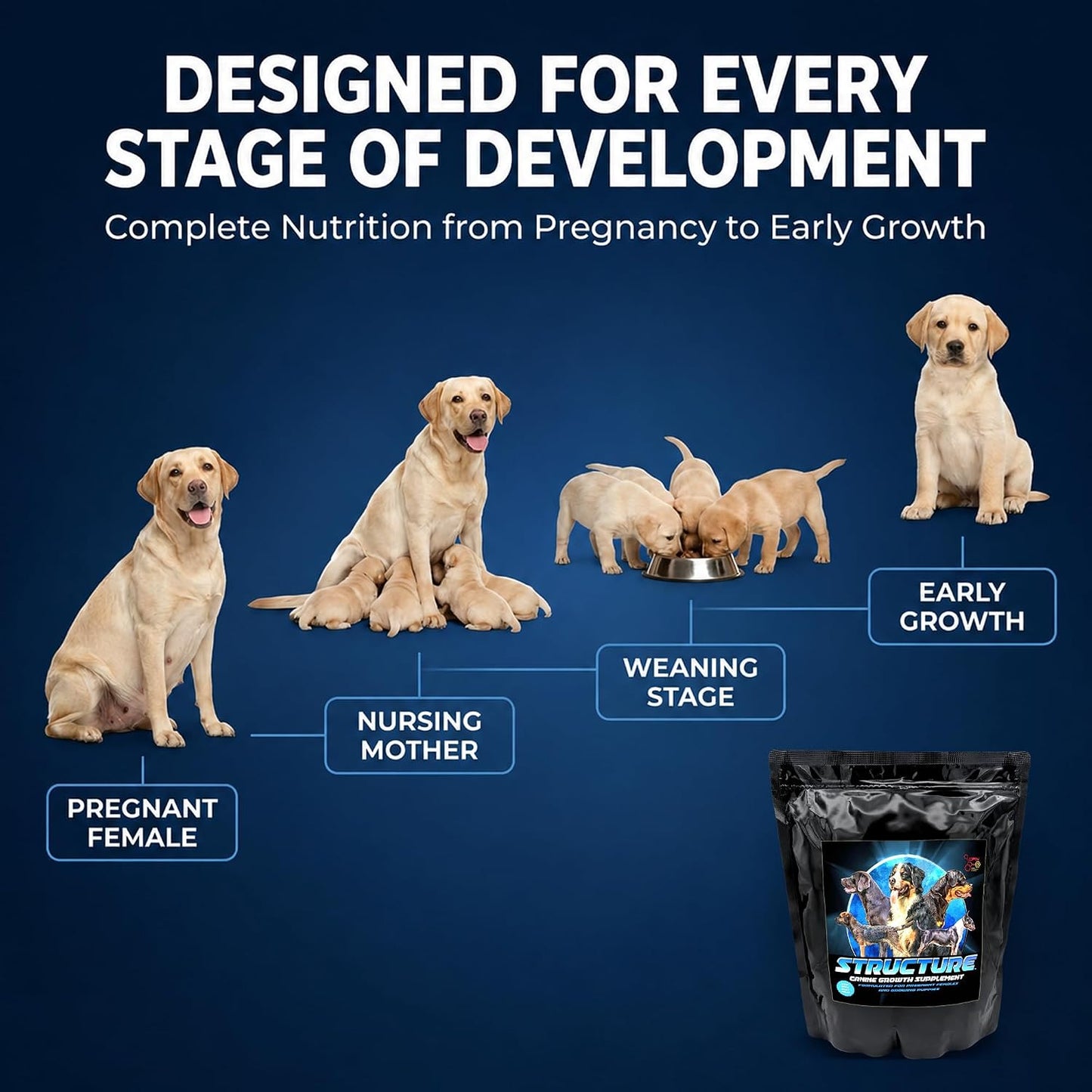 CPN Structure Premium Puppy Growth Supplement – Supports Muscle, Bone & Immune Development – 4 lb - görsel 4