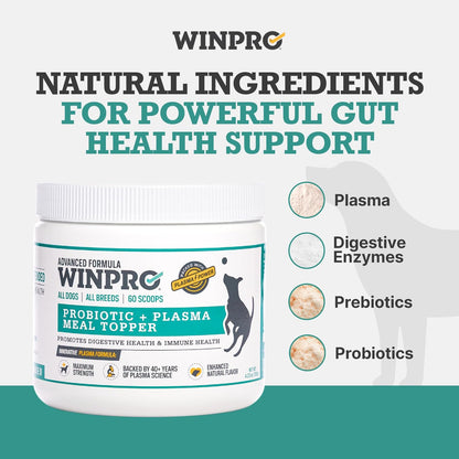 WINPRO Dog Probiotic Powder Meal Topper – Spray Dried Plasma with Prebiotics and Probiotics for Digestive Support and Gut Health, All Breeds, 60 Scoops