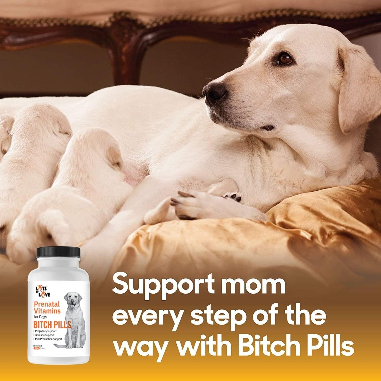 Bitch Pills | Dog Prenatal Vitamins | Prenatal Vitamins for Dogs | Prenatal for Dogs | Thomas Pet Earlier | 120 Tablets - görsel 3