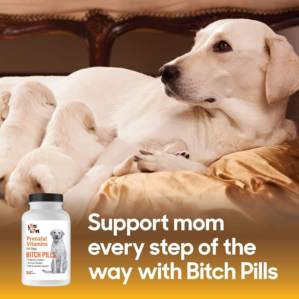 Bitch Pills | Dog Prenatal Vitamins | Prenatal Vitamins for Dogs | Prenatal for Dogs | Thomas Pet Earlier | 120 Tablets - görsel 3