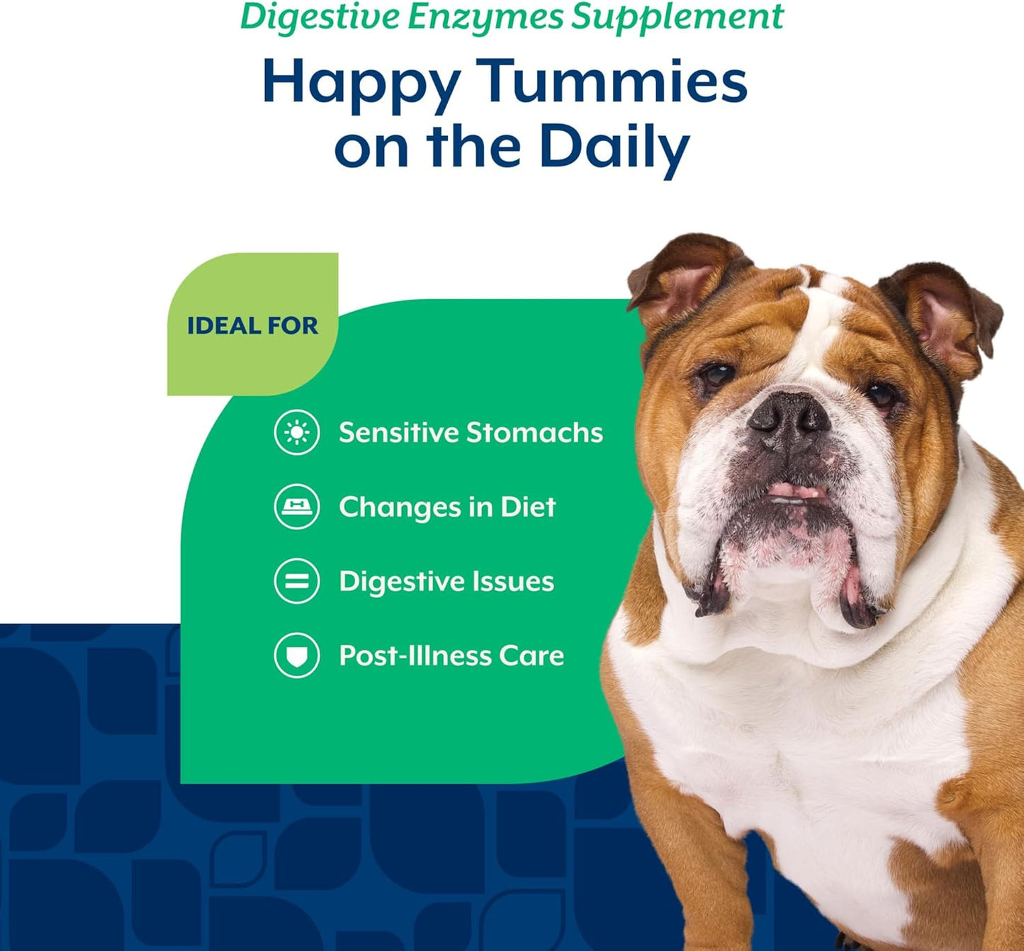 NaturVet Digestive Enzymes Plus Probiotics & Prebiotics – Soft Chews for Dogs & Cats (120 Count) - görsel 4