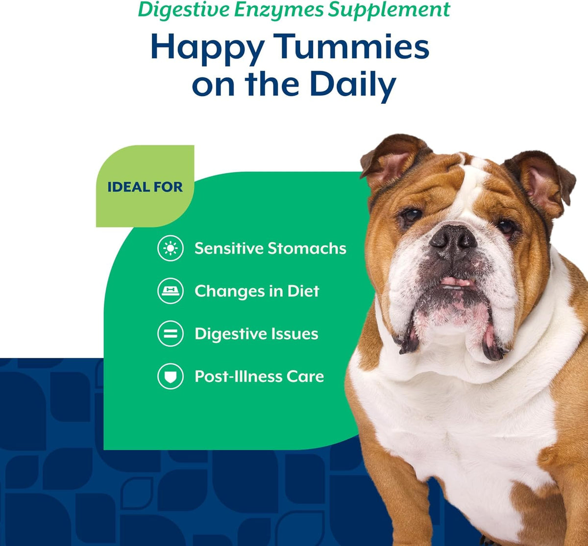 NaturVet Digestive Enzymes Plus Probiotics & Prebiotics – Soft Chews for Dogs & Cats (120 Count) - görsel 4