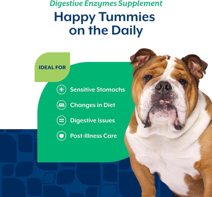 NaturVet Digestive Enzymes Plus Probiotics & Prebiotics – Soft Chews for Dogs & Cats (120 Count)