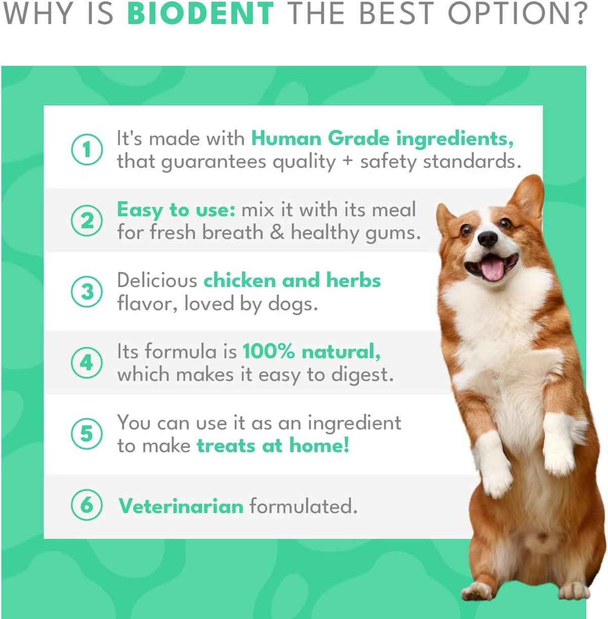 Natural PET Biodent Nutritional Supplement for Dogs – Chicken & Fine Herbs, 30 Sachets - görsel 4