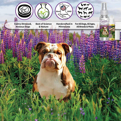 The Blissful Dog Olde English Bulldog Calm Aromatherapy Spray