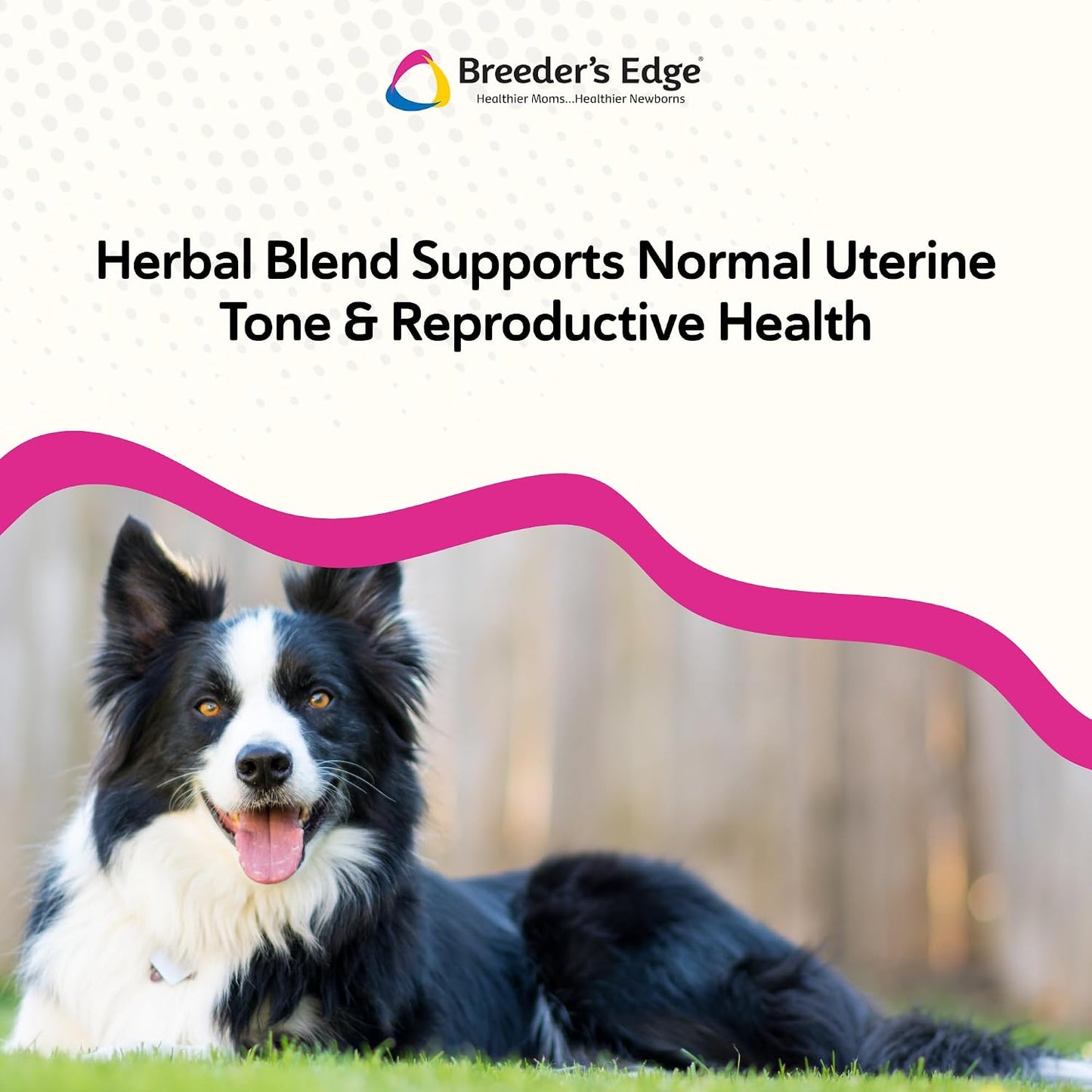 Breeder's Edge Oxy Mate Prenatal Soft Chews for Dogs and Cats - görsel 5