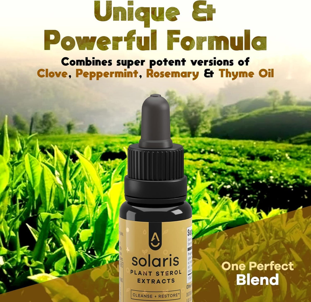 Activation Solaris Essential Oil Blend - 15 ml | Thyme, Peppermint, Rosemary & Clove - görsel 3