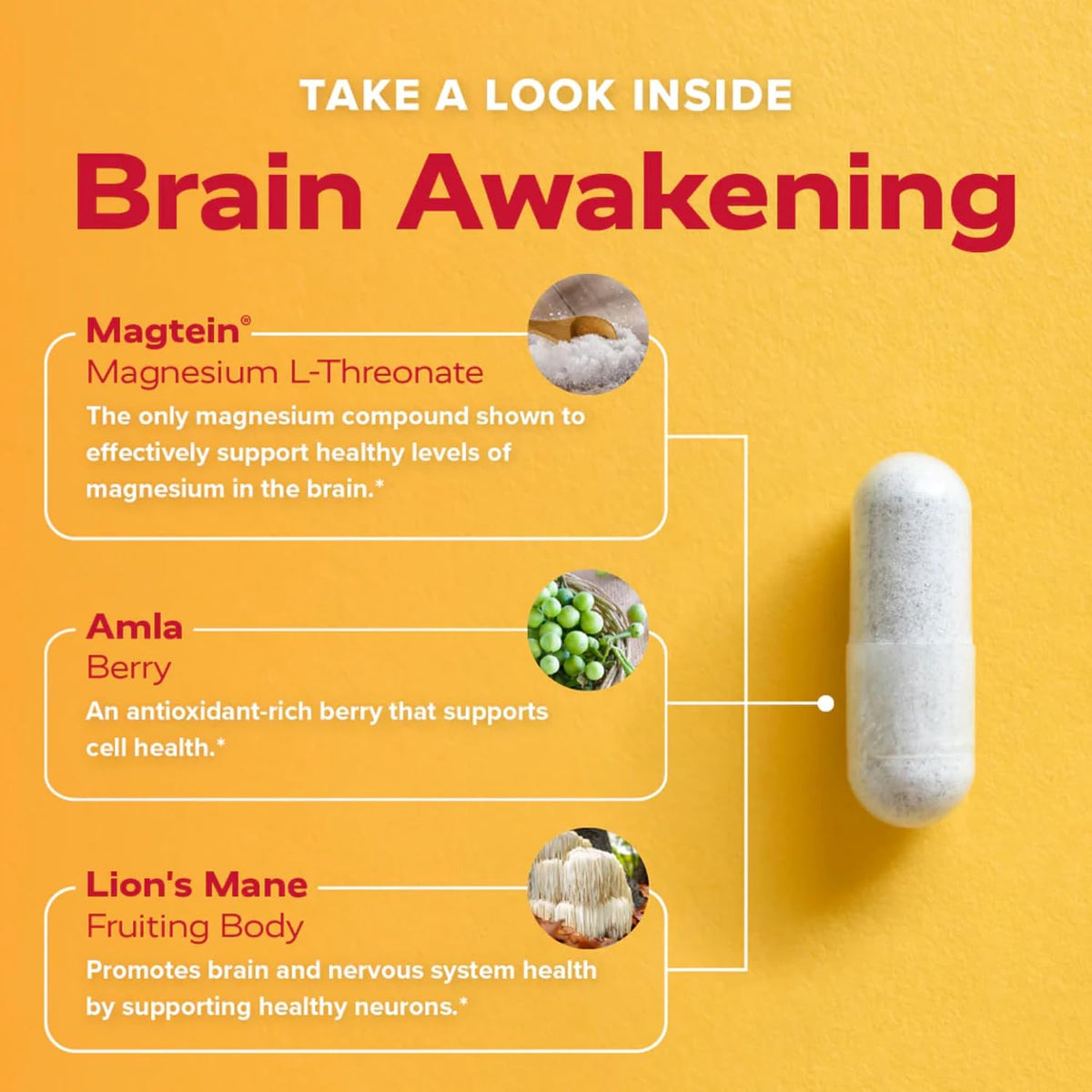 Redd Remedies Brain Awakening – Cognitive Function & Focus Support, 120 Vegan Capsules - görsel 5