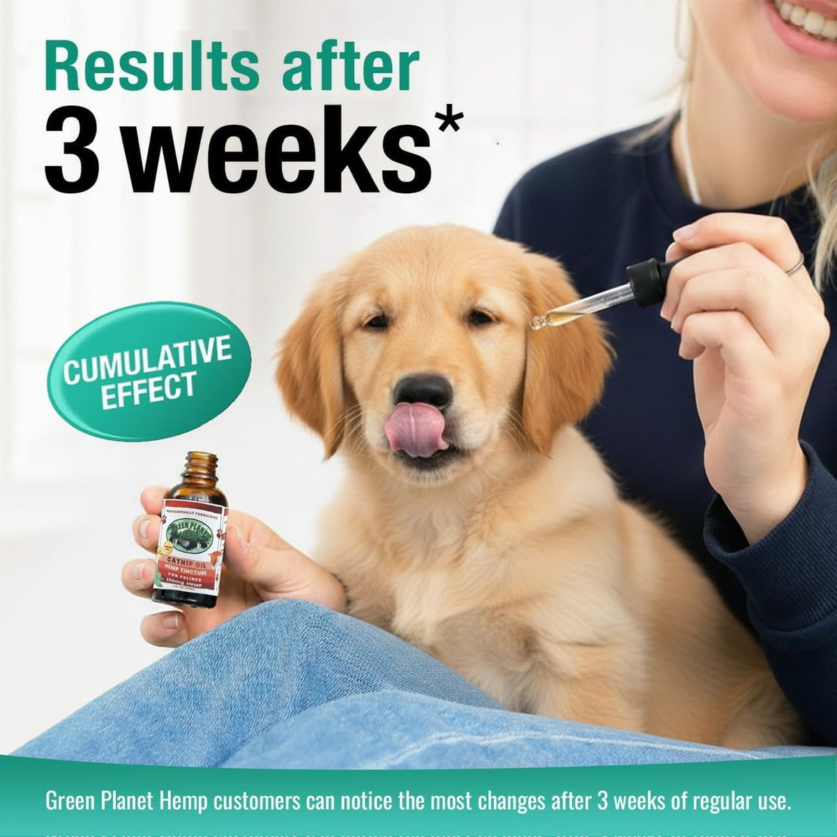 Pet Hemp Oil with Catnip – Organic Hemp Tincture for Dogs and Cats - görsel 8
