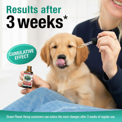 Pet Hemp Oil with Catnip – Organic Hemp Tincture for Dogs and Cats
