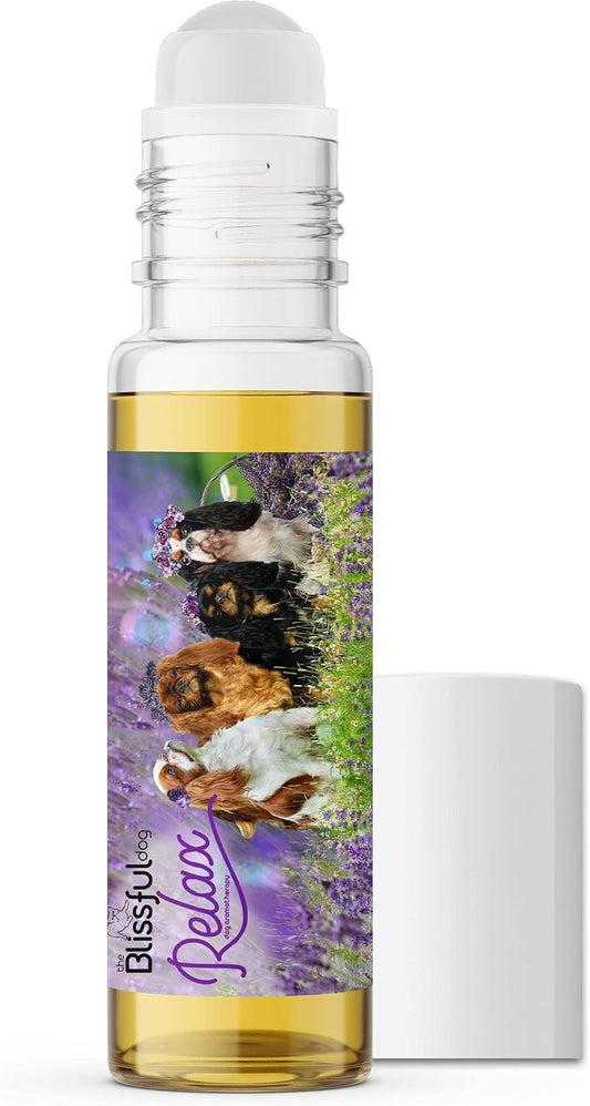 The Blissful Dog English Toy Spaniel Relax Roll-On Aromatherapy for Dogs – Calming Support for Dogs