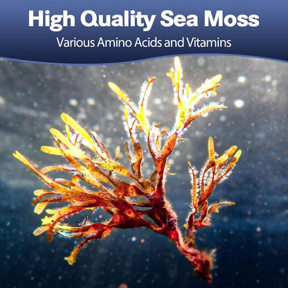 Totaria 25-in-1 Sea Moss Capsules, 120 Capsules per Bottle (Pack of 2)