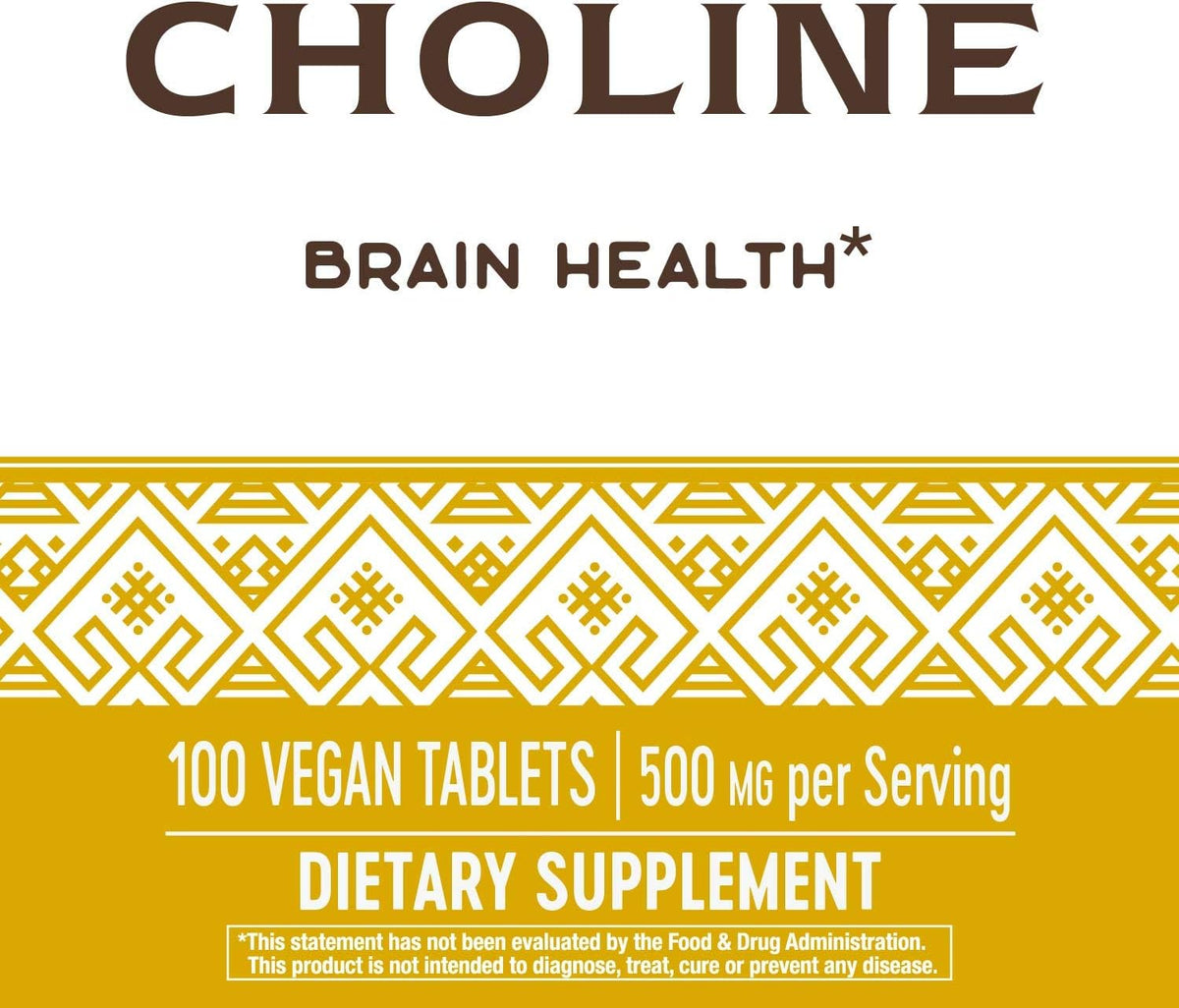 Nature's Way Choline, 500 mg per serving, 100 Tablets (Pack of 2) - görsel 4