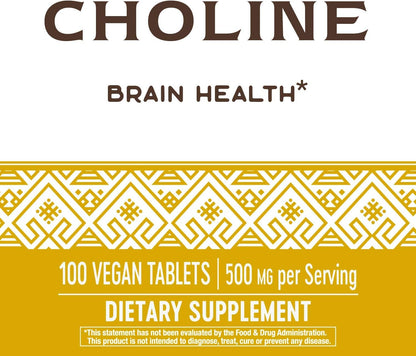 Nature's Way Choline, 500 mg per serving, 100 Tablets (Pack of 2)