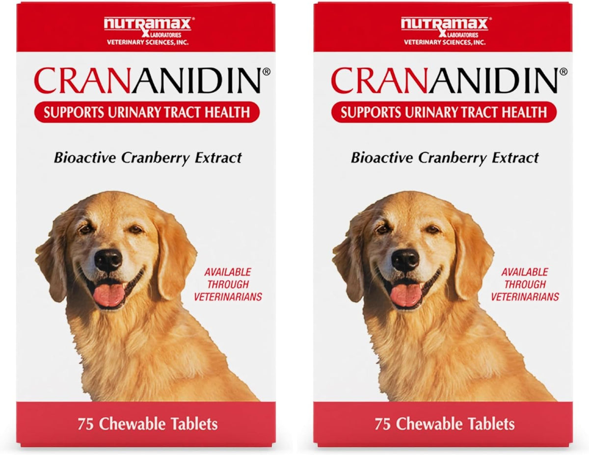 Nutramax Crananidin for Dogs, Urinary Tract Health and Bladder Support, Cranberry Supplement, Chewable Tablets, 75 Count - görsel 10