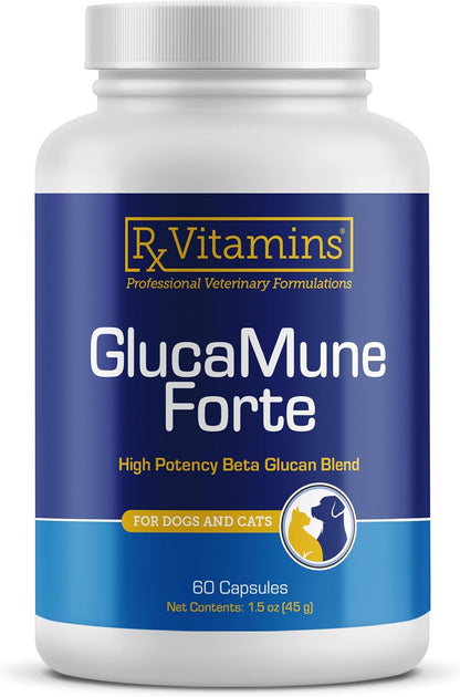 Rx Vitamins GlucaMune Forte - Immune Support Supplement with Beta Glucan for Dogs and Cats - Strengthens Natural Defences for Overall Health - 60ct