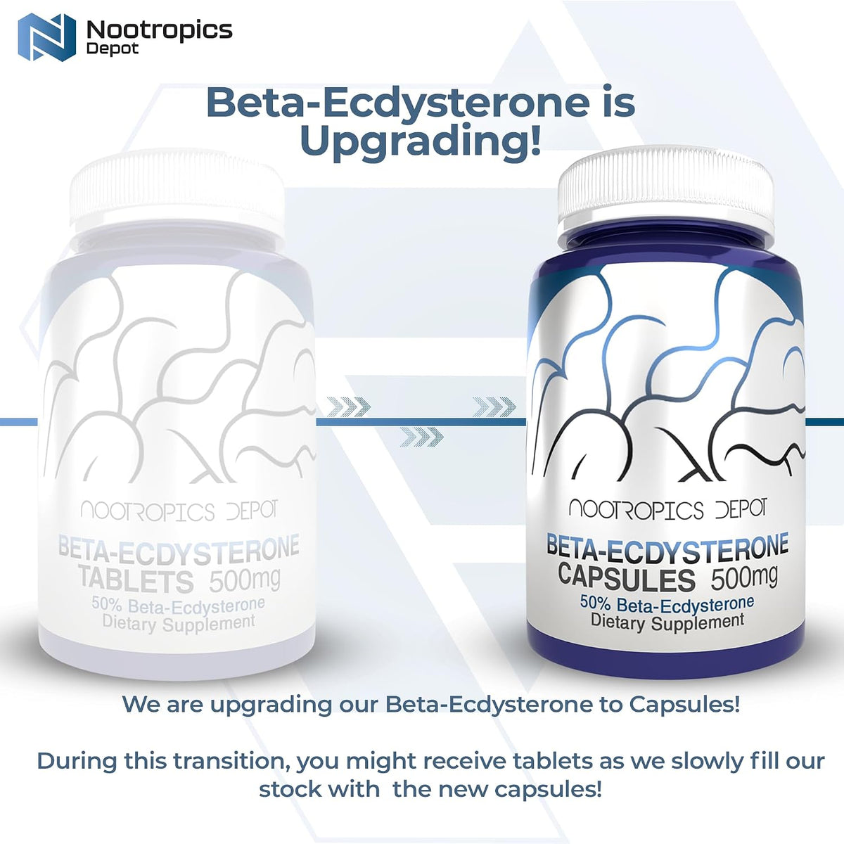 Nootropics Depot Beta Ecdysterone 50% Capsules (500mg, 30 Count) - görsel 3