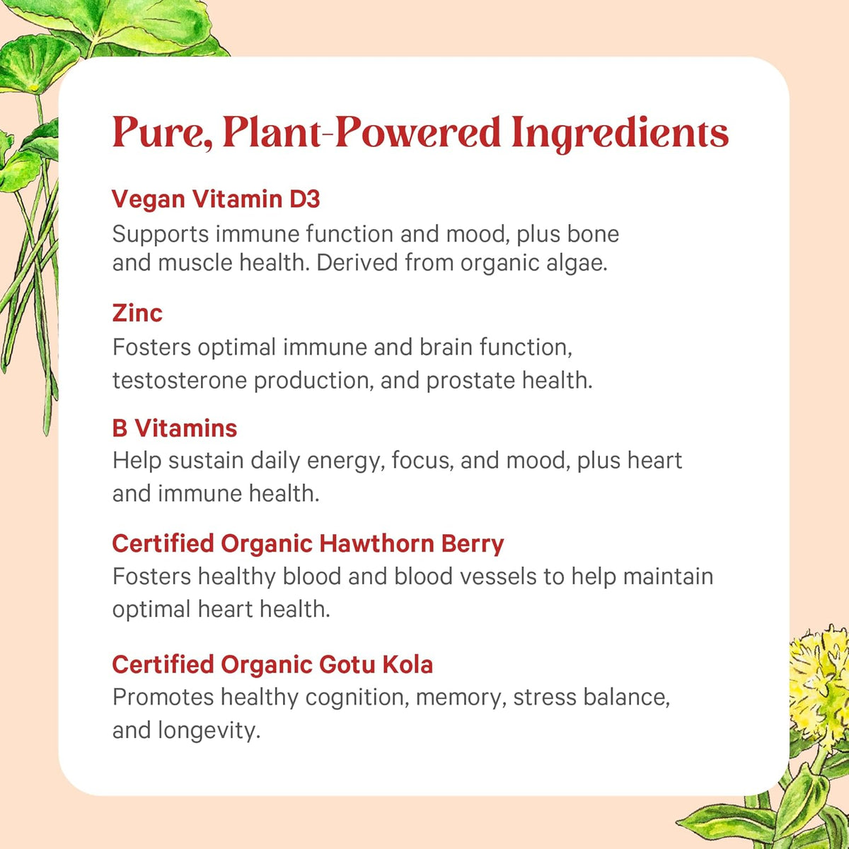 Pure Synergy Vita·Min·Herb for Men - Comprehensive Multivitamin Supplement with Organic Whole Food Ingredients (120 Tablets) - görsel 5