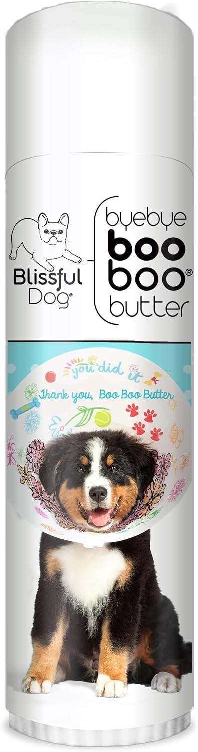 The Blissful Dog 14 g Tube Bernese Mountain Dog Booboo Butter - görsel 1