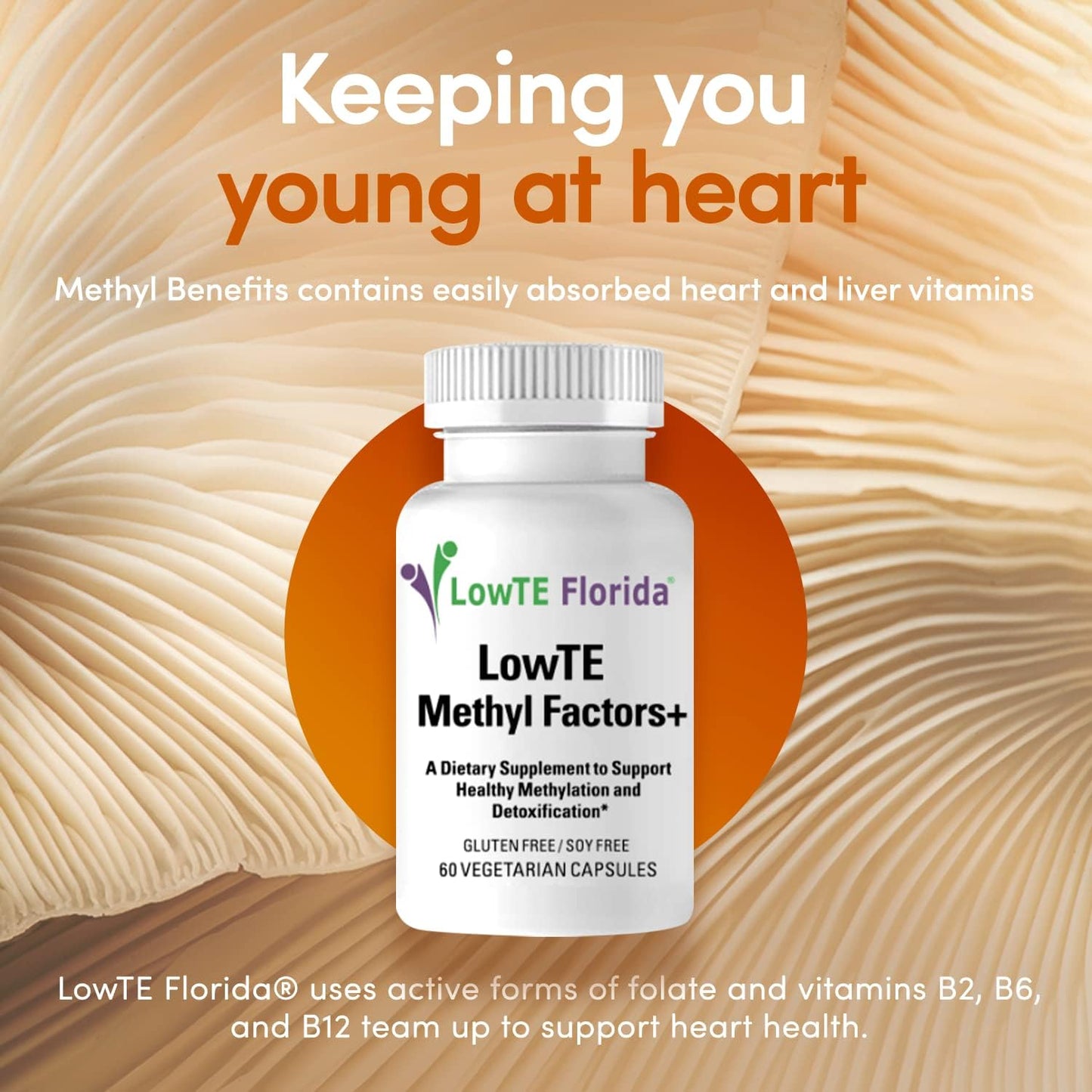 Methyl Factors + - 60 Capsules | B Vitamins, Folate & Riboflavin for Heart, Liver & Brain Function* - görsel 4