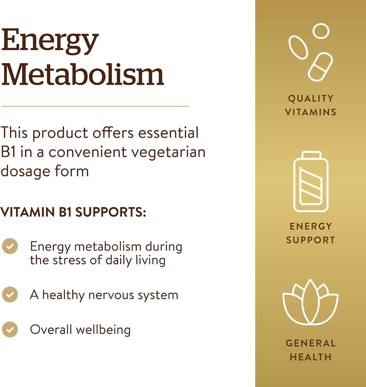 Solgar Vitamin B1 (Thiamine) 500 mg, 100 Tablets - görsel 4