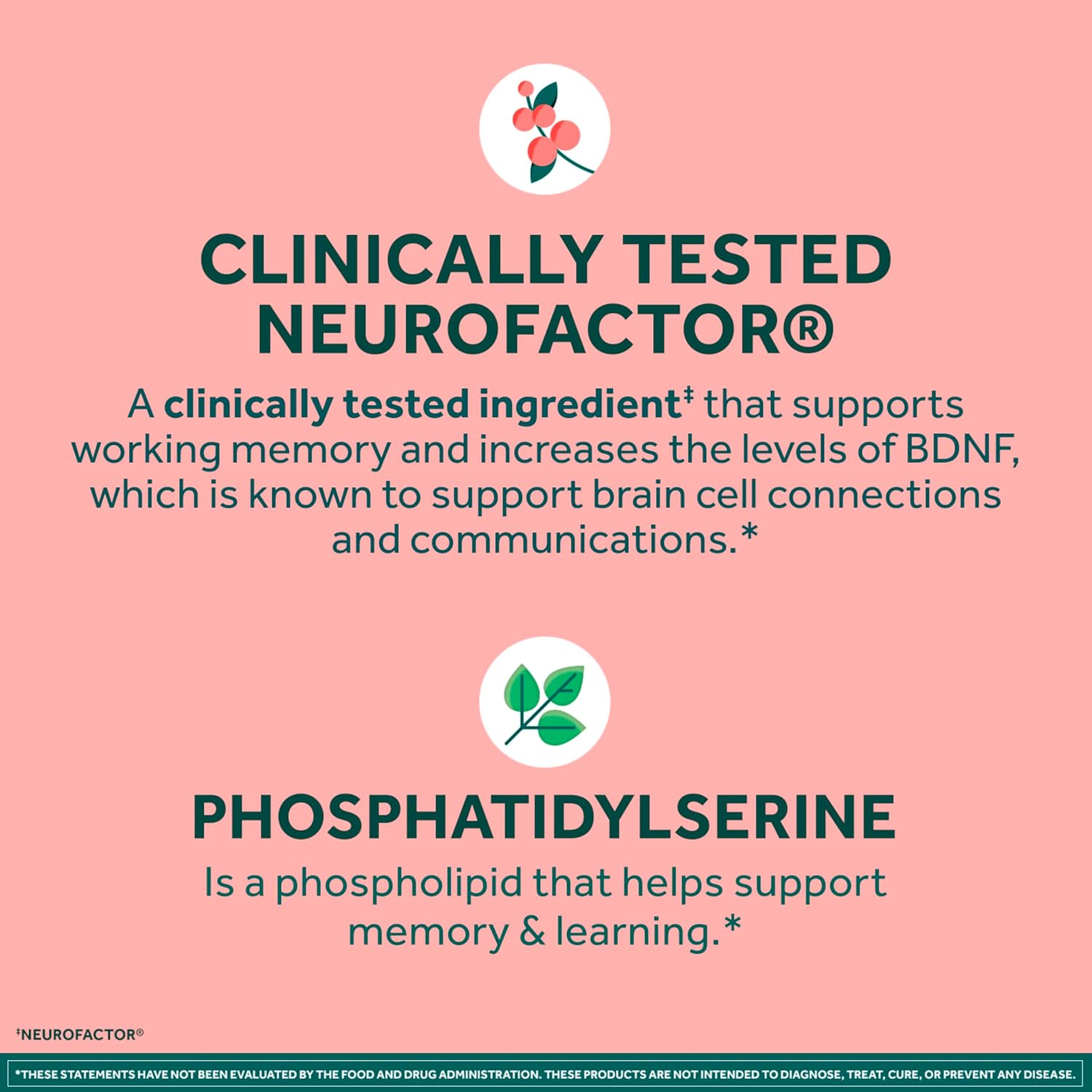 NEURIVA Original Brain Supplement for Memory and Focus, Clinically Tested Nootropics with Phosphatidylserine and Neurofactor, 30 Capsules - görsel 5