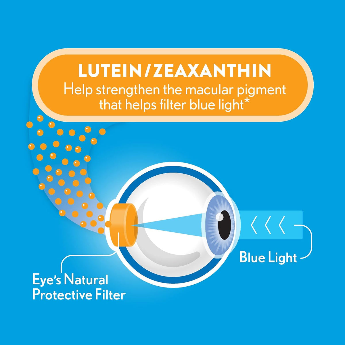 Ocuvite Blue Light Lutein & Zeaxanthin Supplement, 30 Softgels - görsel 4