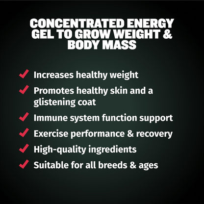 Bully Max Dog Weight Gainer 2400 Cal - High Calorie Liquid Supplement for Dogs with Omega-3 & Whey Protein - Appetite & Recovery Support for All Breeds, Puppies to Adults - Made in USA - 16 oz (473 ml)