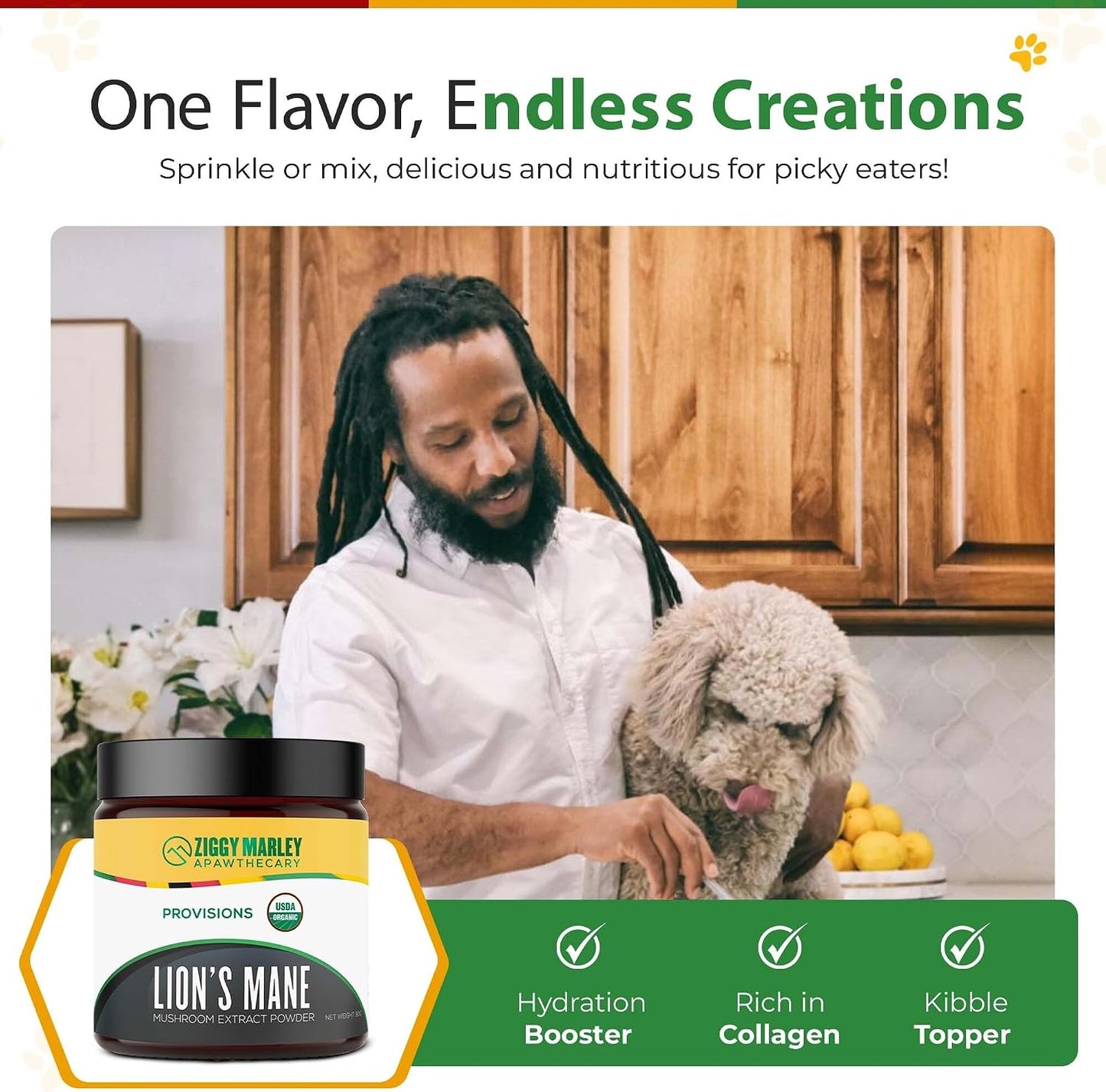 ZMA PETS Organic Lion's Mane Mushroom Powder for Dogs and Cats – Cognitive Support, USDA Organic, 45 Servings - görsel 3