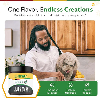 ZMA PETS Organic Lion's Mane Mushroom Powder for Dogs and Cats – Cognitive Support, USDA Organic, 45 Servings