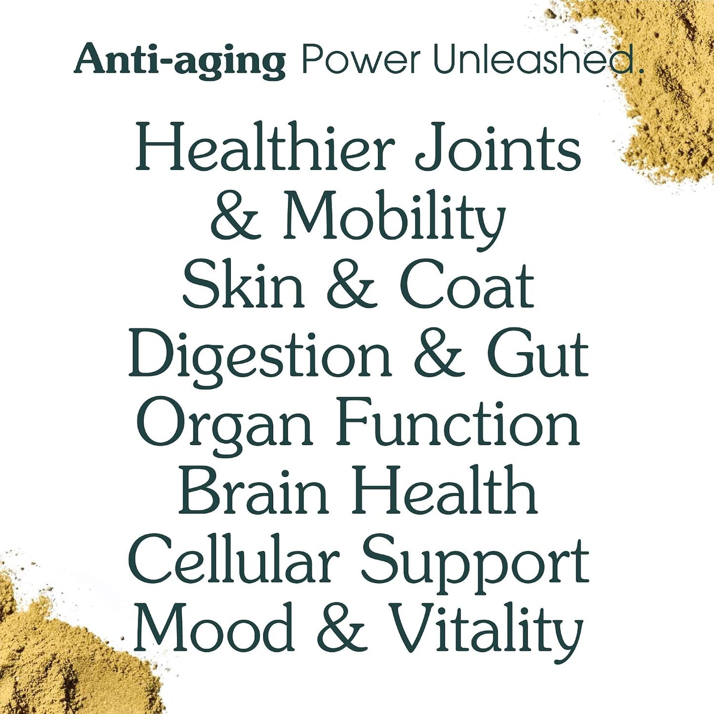 Adult Dog Powder Supplement: 46-Ingredient Daily Longevity Multivitamin & Food Topper - görsel 4