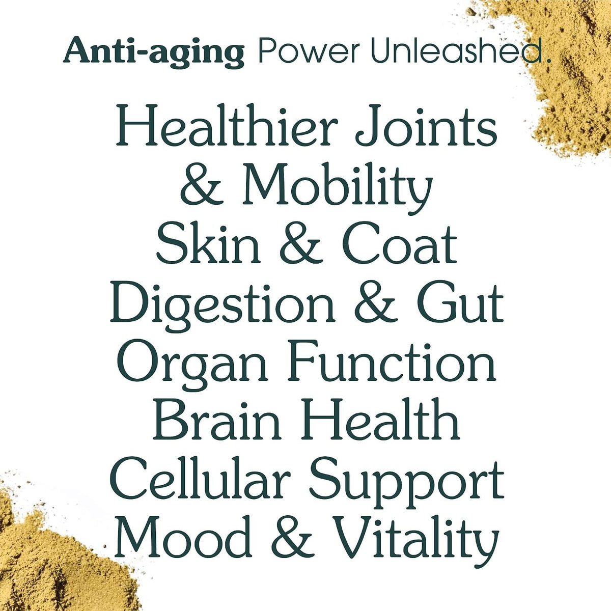 Adult Dog Powder Supplement: 46-Ingredient Daily Longevity Multivitamin & Food Topper - görsel 4
