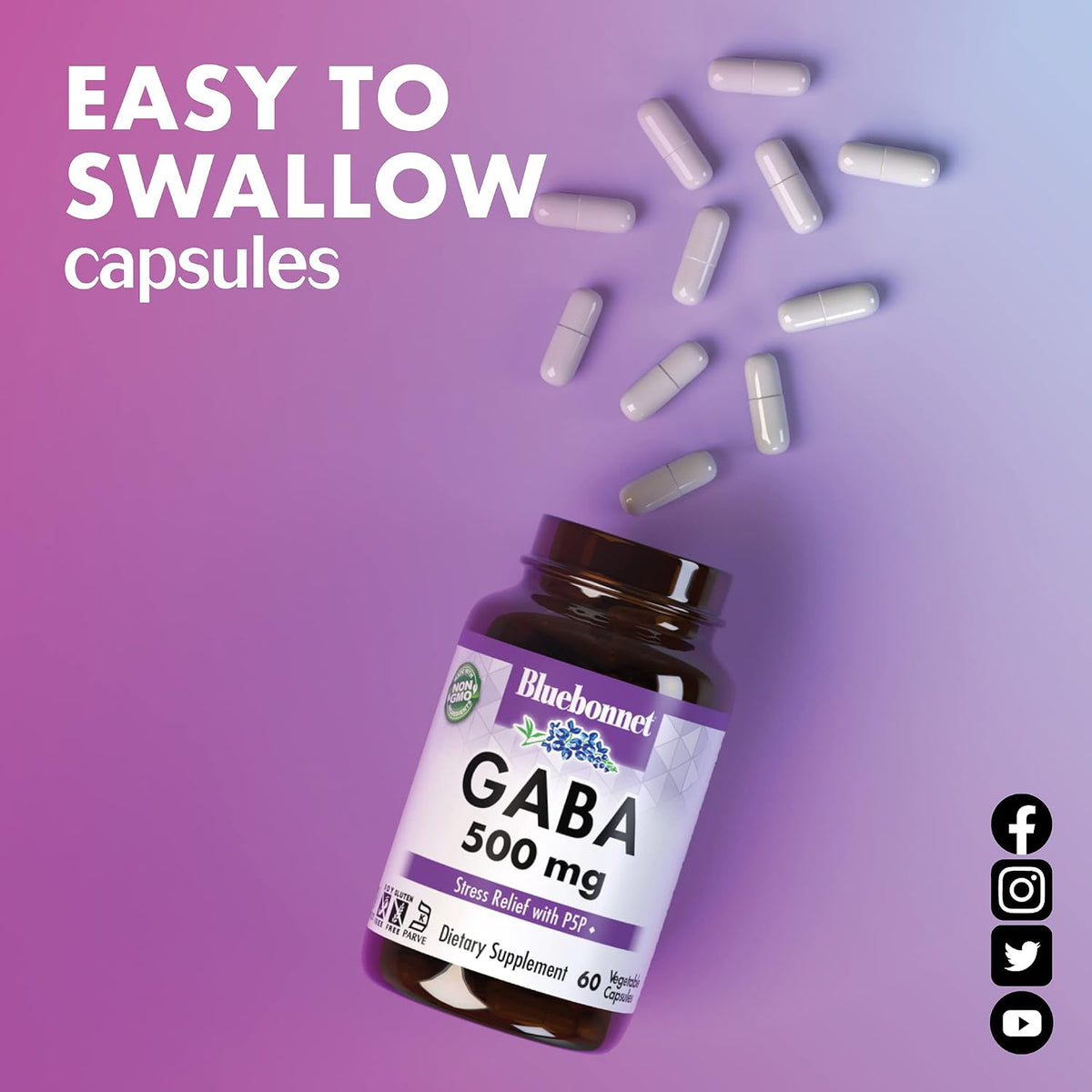 BlueBonnet Nutrition GABA 500 mg with Vitamin B6 (P5P) - 60 Vegetable Capsules - görsel 6