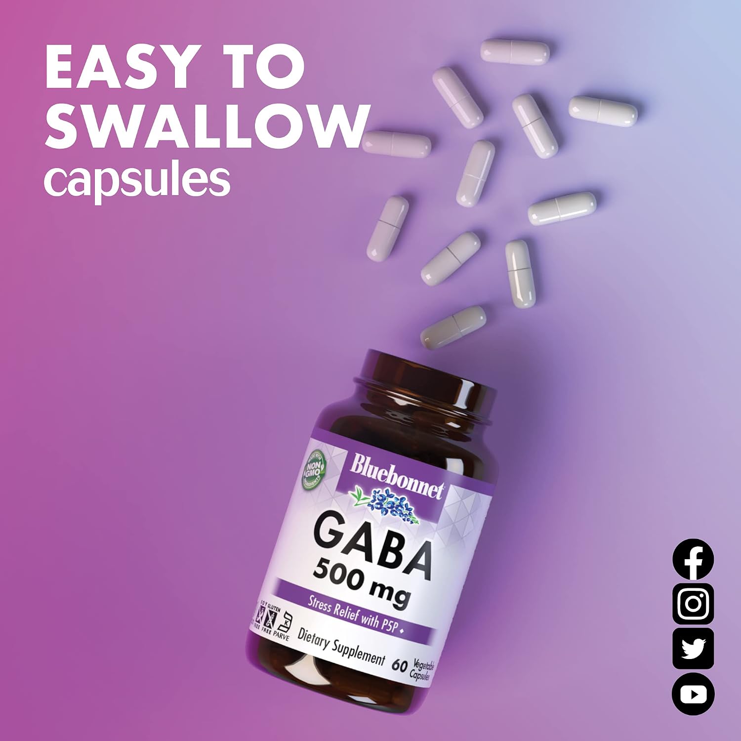 BlueBonnet Nutrition GABA 500 mg with Vitamin B6 (P5P) - 60 Vegetable Capsules - görsel 6