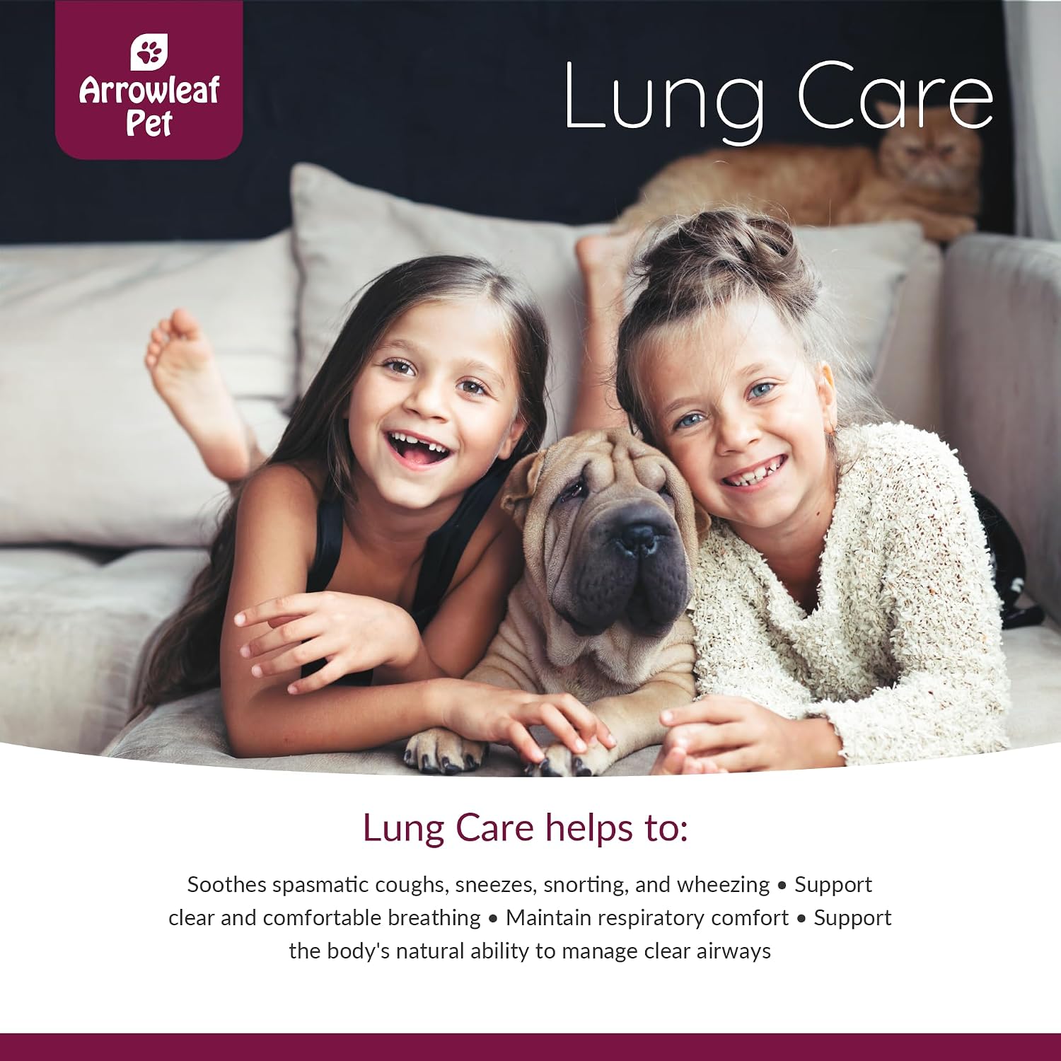 NaturPet Lung Care for Cats and Dogs | Respiratory Support Herbal Tincture (100 ml) - görsel 4