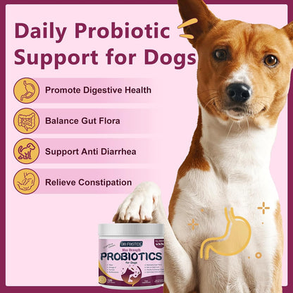 Probiotics for Dogs, Dog Probiotics for Digestive Health, 6 Billion CFU, with Prebiotics & Digestive Enzymes, Pumpkin & Omega-3, Dog Diarrhoea Relief & Immune Support, Skin & Coat Care, 120 Soft Chews