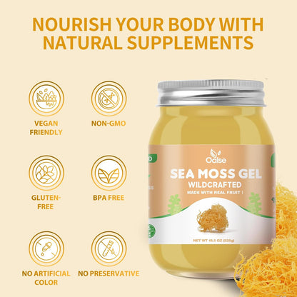 OALSE Sea Moss Gel – Wildcrafted Sea Moss Gel Supplement for Kids and Adults 524g (18.5 oz) Original