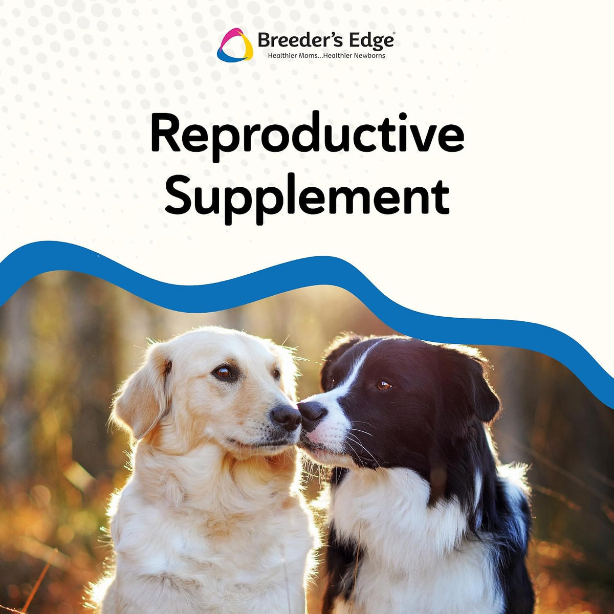 Breeder’s Edge Get Him Going, Reproductive Performance Supplement for Male Dogs and Cats, Supports Libido, Energy, Hormone Balance and Fertility, Horny Goat Weed, Maca, Ashwagandha, Made in USA, 30 ml - görsel 4