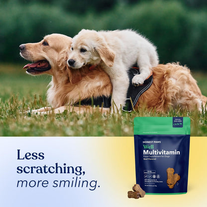 Honest Paws Dog Multivitamin Soft Chews - 90 Count - with 10 Essential Vitamins, Glucosamine, Chondroitin & Omega-3 - Beef Flavour