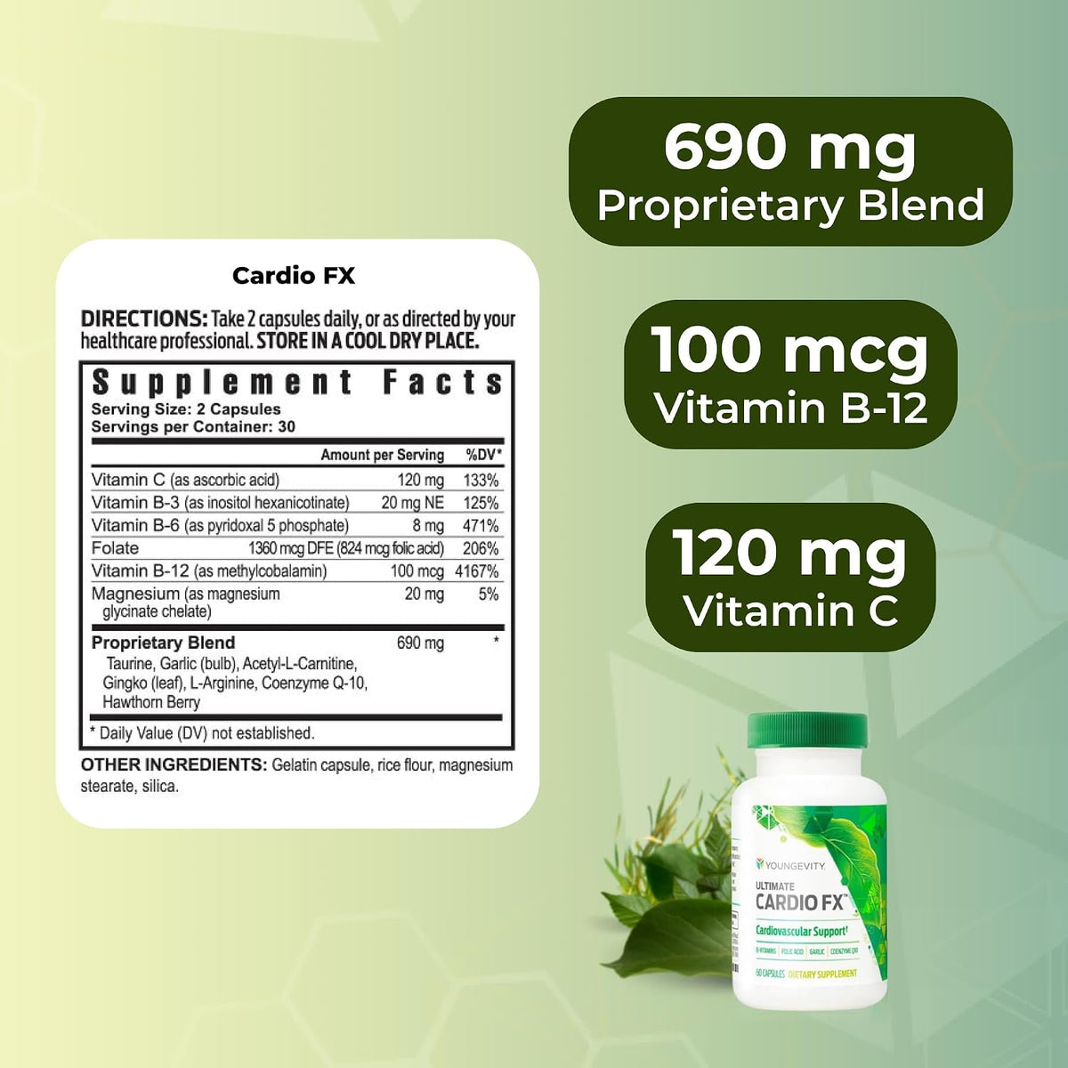Cardiovascular Support Cardio FX - 60 Capsules - görsel 3