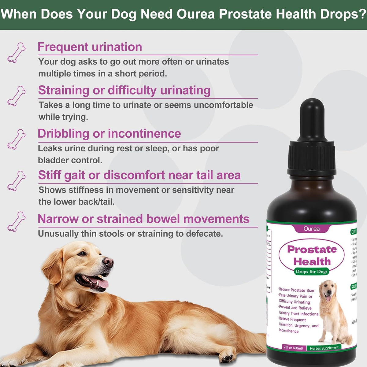 Ourea Prostate Health Drops for Dogs – Herbal Liquid Supplement for Urinary and Prostate Support - görsel 4