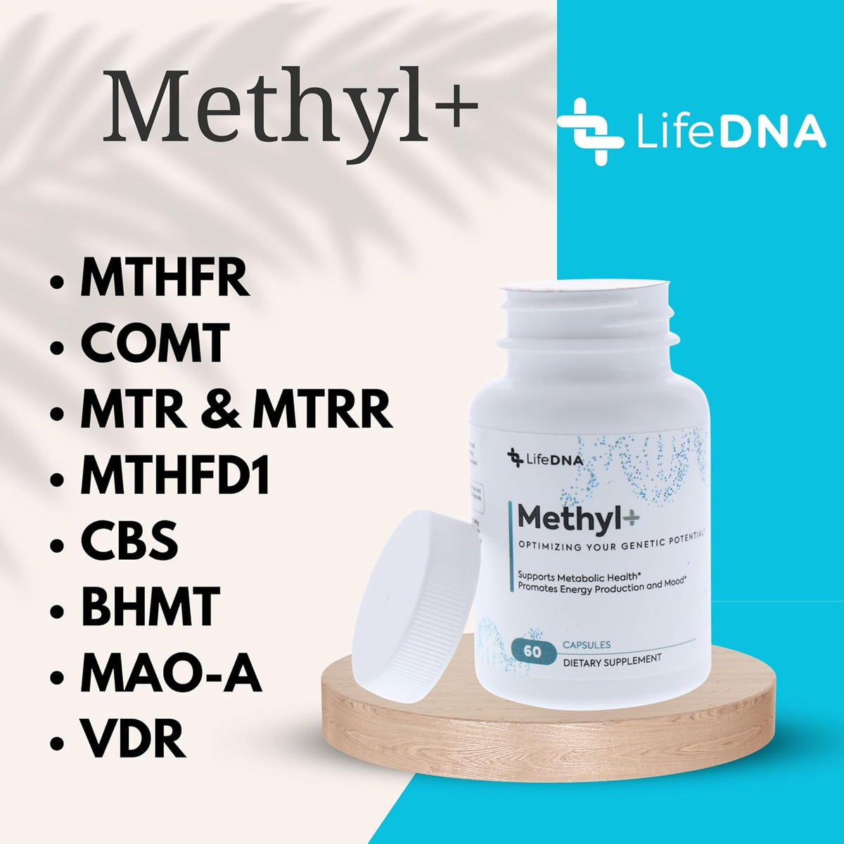 LIFEDNA Methyl + Methylfolate - Methylated Folate Vitamins Active 5-MTHF TMG Optimised Homocysteine, Brain, Cardiovascular Highly Bioavailable, MTHFR Supplement - görsel 4