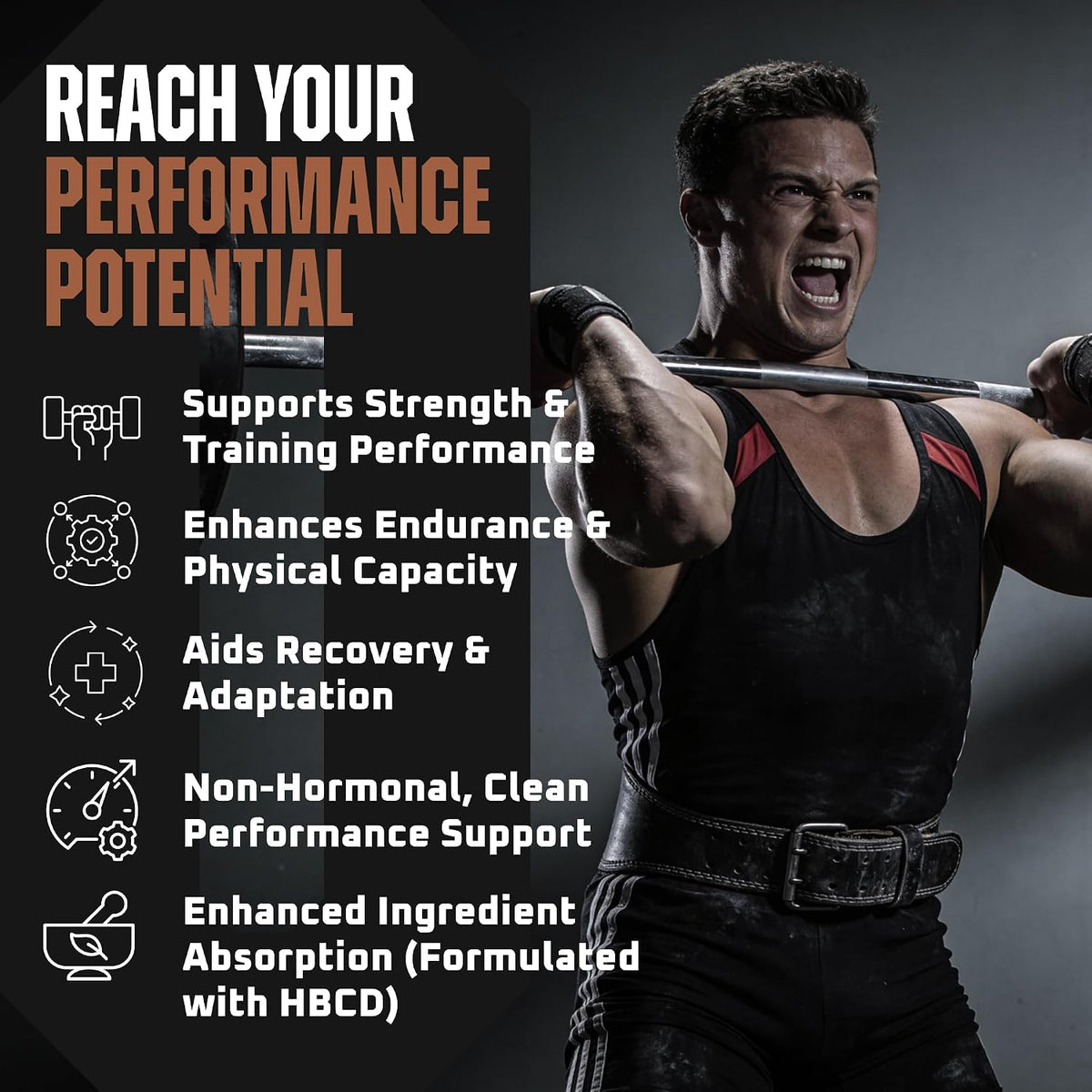 Turkesterone & Ecdysterone – Natural Testosterone Support Supplement, 2-in-1 High Potency, 180 Capsules - görsel 4