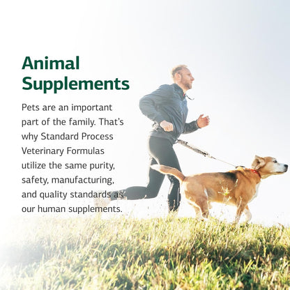 Standard Process Canine Enteric Support - Digestive System Support for Dogs - Nutritional Dog Supplement for Gut Health - Canine Supplement Formula to Aid Healthy Digestion - 110 g