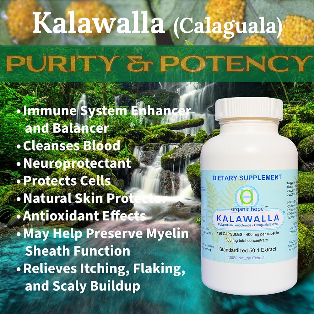 Kalawalla Organic Hope High Potency Polypodium Leucotomos Immune Support - görsel 5