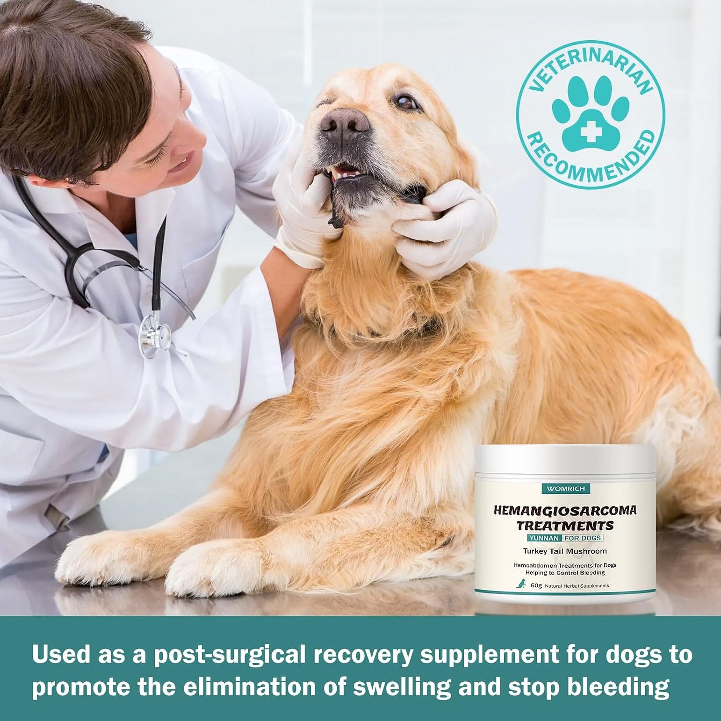 Blood Support for Dogs with Yunnan Sanqi & Turkey Tail Mushroom - görsel 7